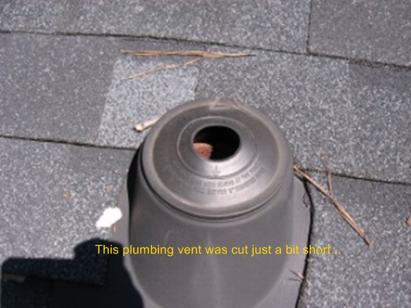 Palm Home Inspection plumbing inspection photo 26